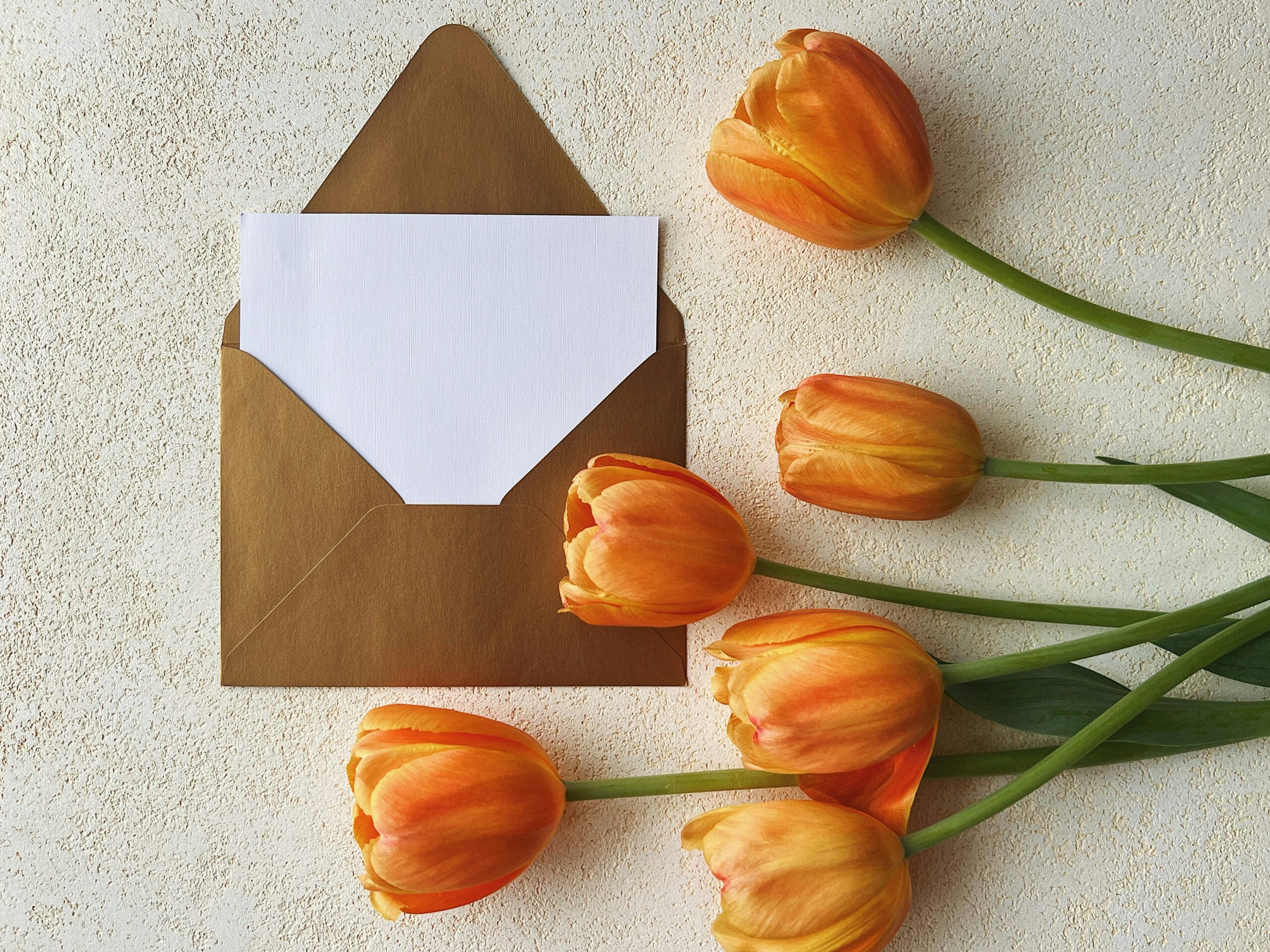 Customize Your Next Book Club