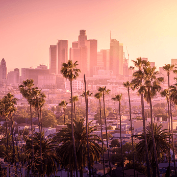 Los Angeles Chapter
